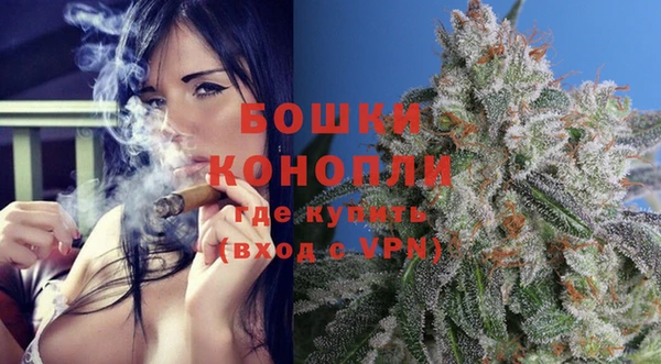 прущие грибы Видное
