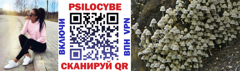 Галлюциногенные грибы Cubensis  Калязин 